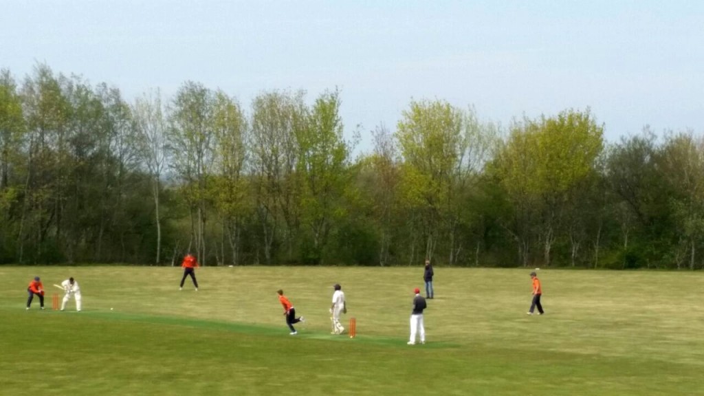 Cricket in Husum